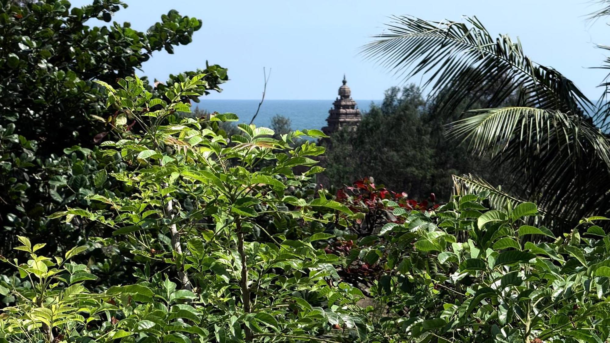 Sri Murugan Beach Paradise Hotel Mahabalipuram Exterior foto